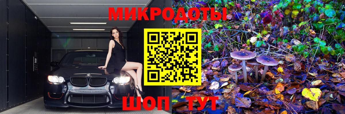 Псилоцибиновые грибы мухоморы Одинцово