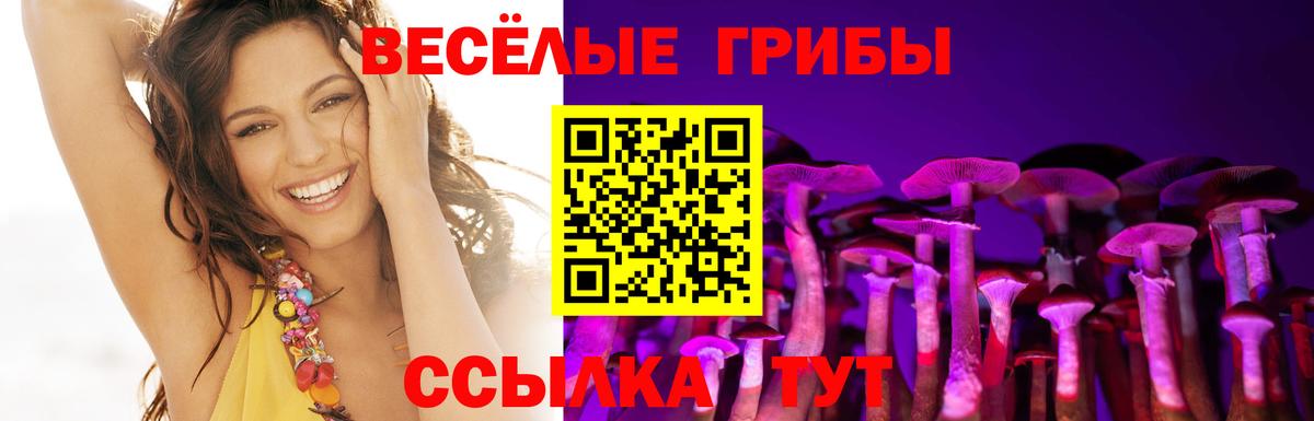Галлюциногенные грибы Psilocybe  Вход с VPN  Галлюциногенные грибы MAGIC MUSHROOMS  Одинцово 